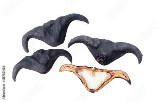 Bild auf Leinwand water caltrop  isolated on transparent png (Image from camera)