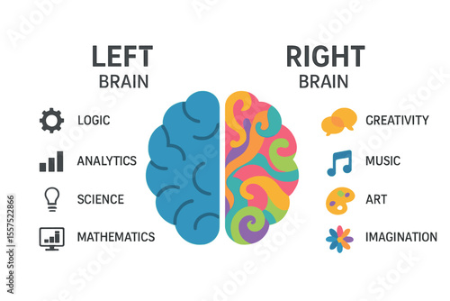 The human brain is divided into left and right sections, representing creativity and logic, often depicted in social and business infographics through vector illustrations