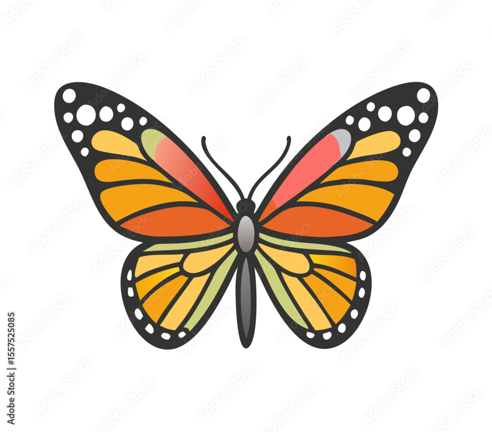 Fototapeta premium Colorful butterfly . Vector illustration