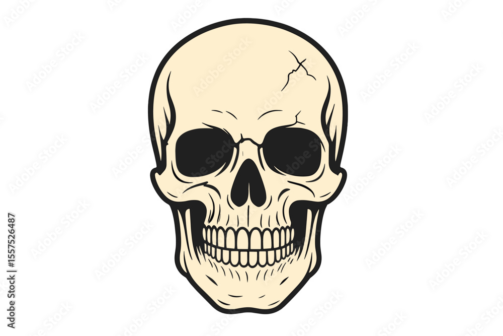 A human skull is depicted in isolation on a white background, serving as a design element for various applications A human skull is depicted in isolation on a white background, serving as a design element for various applications