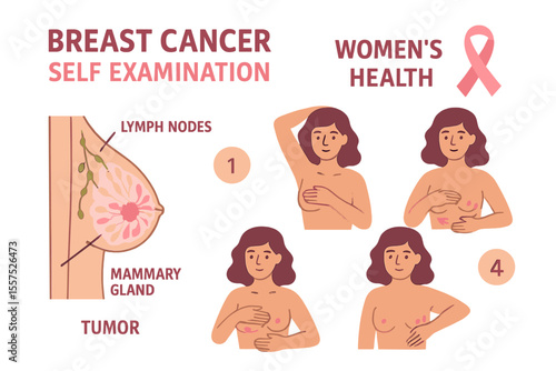 Vector illustration of breast cancer awareness, including self-examination and women's health, for a medical infographic or healthcare poster