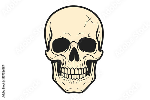A human skull is depicted in isolation on a white background, serving as a design element for various applications