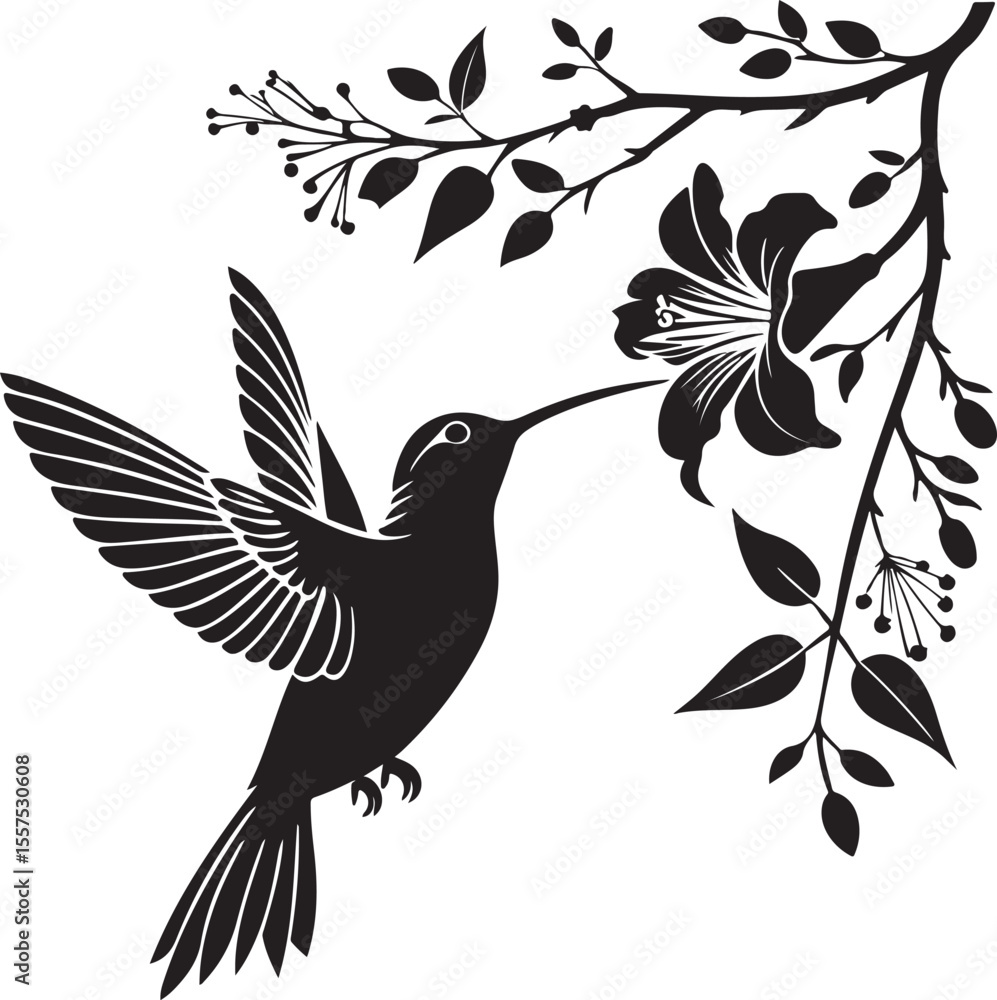 Obraz premium Hummingbird Silhouette – delicate and graceful vector clipart