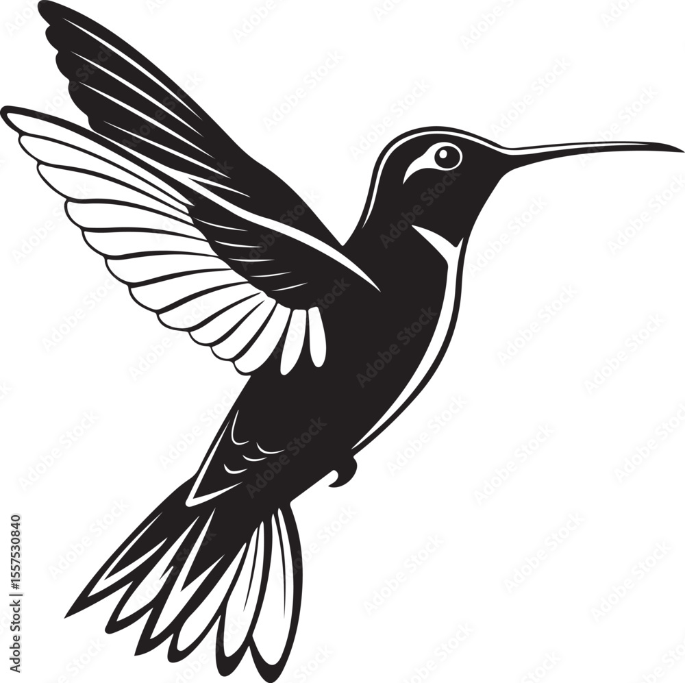 Obraz premium Hummingbird Silhouette – delicate and graceful vector clipart