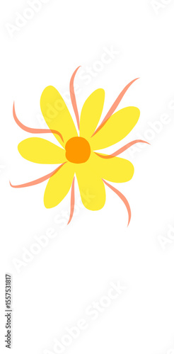 orange flower on white background