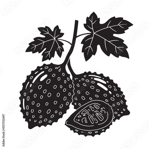 Vintage art silhouette of gac fruit with leaves and a cut section illustrating internal details