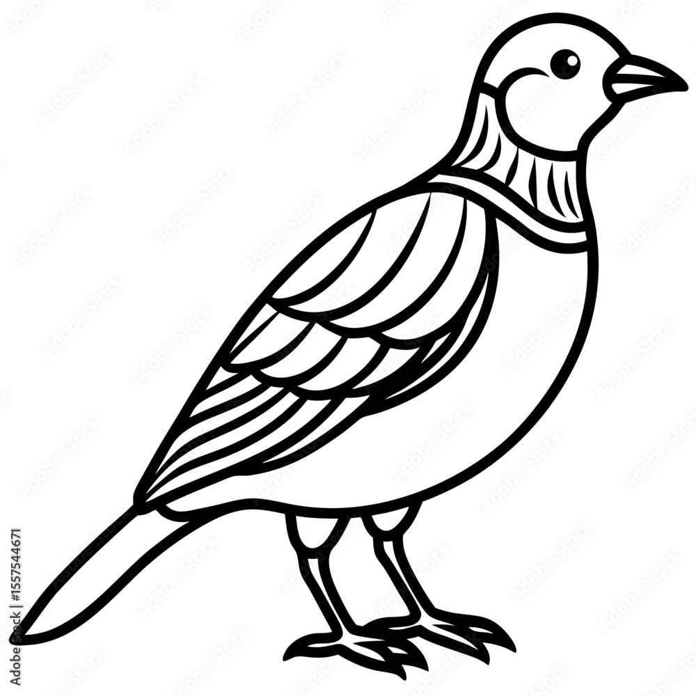 Fototapeta premium Lark line art vector