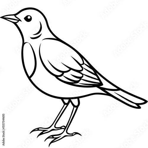 Lark line art vector