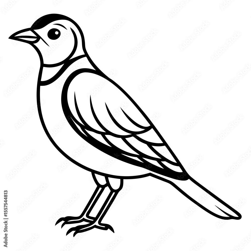 Fototapeta premium Lark line art vector