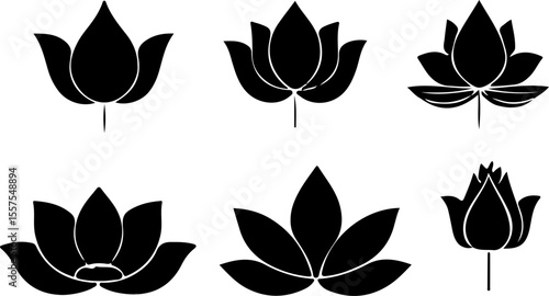 Water Lily Silhouette Vector Set, Water Lily Outline Vector Art, Water Lily Flower Silhouette Collection, Set of Water Lily Vector Illustrations, Botanical Water Lily Silhouette Set, Minimalist Water 