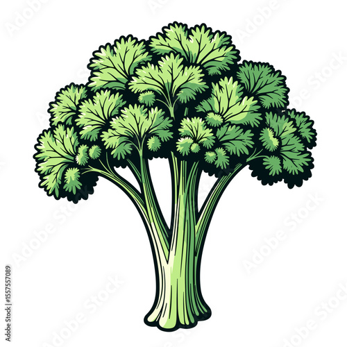 Celery illustration, fresh vegetable art for healthy lifestyle promotion