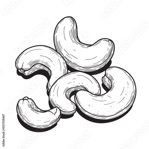 Detailed vintage art silhouette of cashew nuts arranged on a white background showcasing delicious healthy food with shadows