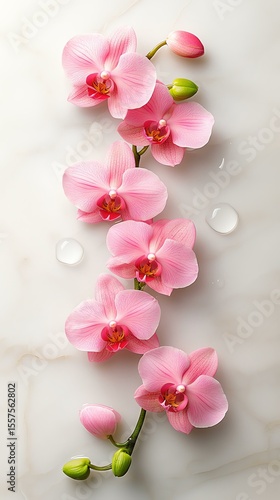 Delicate pink orchid flowers on a marble surface.