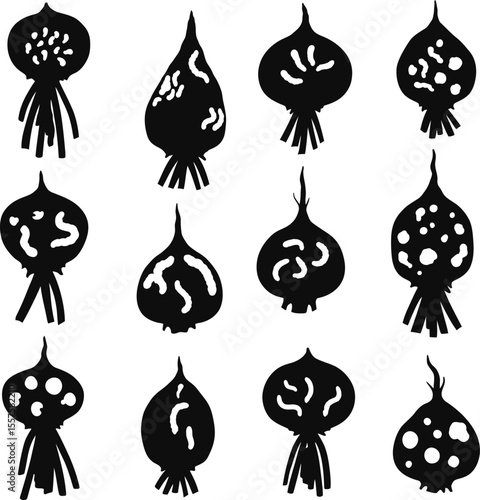 Beetroot Plant and Root Weevil Silhouettes: Agricultural Pest Infestation, Crop Damage, Gardening Issues, and Farm Problems Concepts.