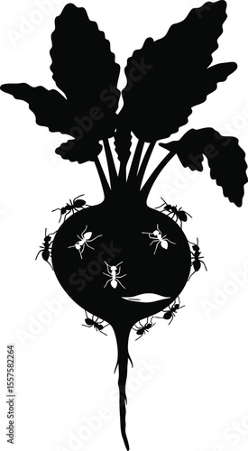 Beetroot Plant and Root Weevil Silhouettes: Agricultural Pest Infestation, Crop Damage, Gardening Issues, and Farm Problems Concepts.
