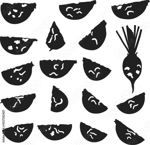 Radish Rootworm Damage Silhouettes: Agricultural Pest Infestation, Crop Spoilage, Garden Problems, and Food Waste Concepts.
