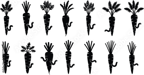 Carrots with Wireworm Pests Silhouettes: Illustrating Agricultural Damage, Garden Problems, Crop Infestation, and Organic Farming Challenges.