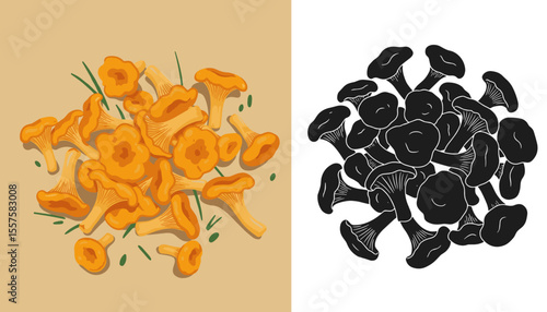 Set of forest mushrooms top view in black and orange for organic food design