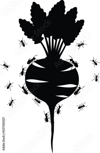 Beetroot Plant and Root Weevil Silhouettes: Agricultural Pest Infestation, Crop Damage, Gardening Issues, and Farm Problems Concepts.