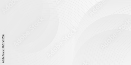 White geometric abstract background overlap layer on bright space with lines effect. graphic design element circles style concept product  natural good nice