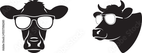 Stylish cow heads wearing sunglasses isolated on white background
