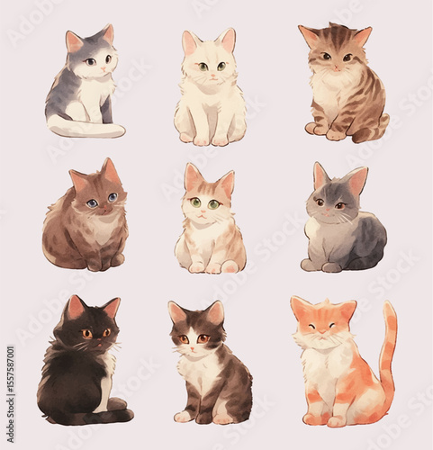 cute cats