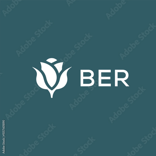 BER letter logo design