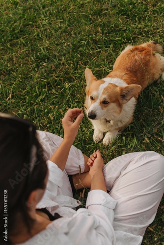 Close-up of a woman training and feeding a Welsh Corgi in the park in sunny weather. Concept of walking a dog, friendship between a dog and owner. Part of a series. Soft focus.