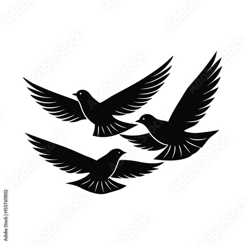 Three elegant birds in flight with outstretched wings depicted in a striking silhouette style