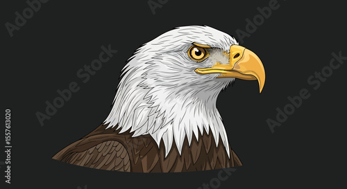 Eagle head illustration
