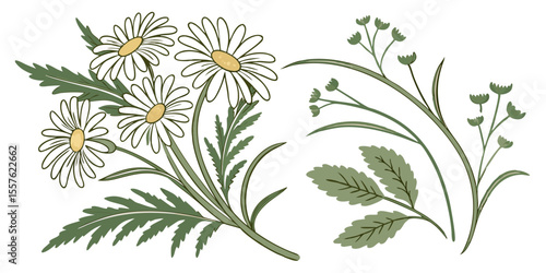Wild flowers and chamomile blossoms form a beautiful floral vector illustration pattern for spring and summer design elements