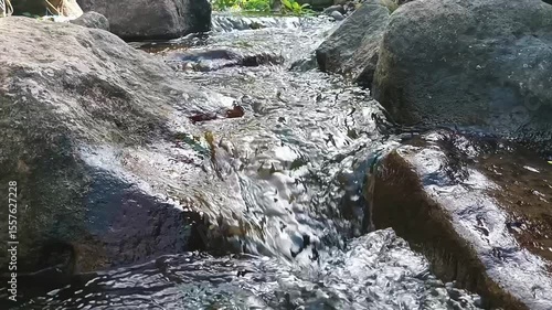 clear water in a small river