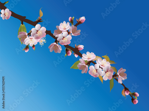 light pink lush blossoming spring branch on blue