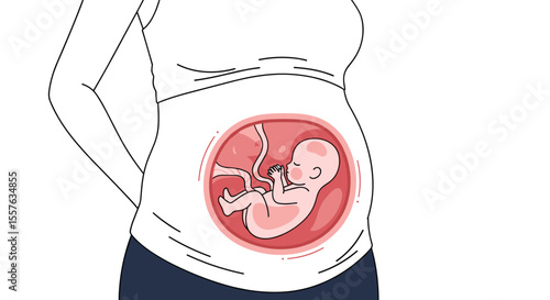 Understanding Fetal Development Through Pregnancy Weeks and Trimesters Growth Stages