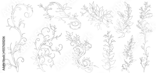Elegant black and white line cad floral design elements. Intricate vine patterns with leaves. vector illustration