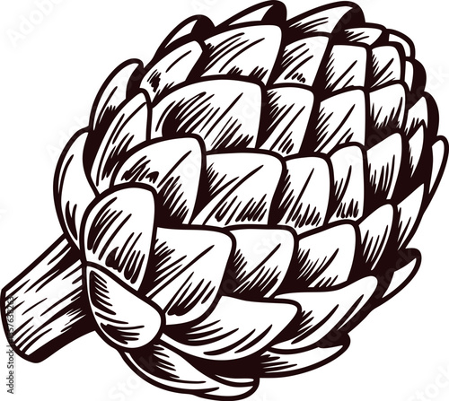 Hand drawn artichoke illustration in vintage engraving isolated on white background
