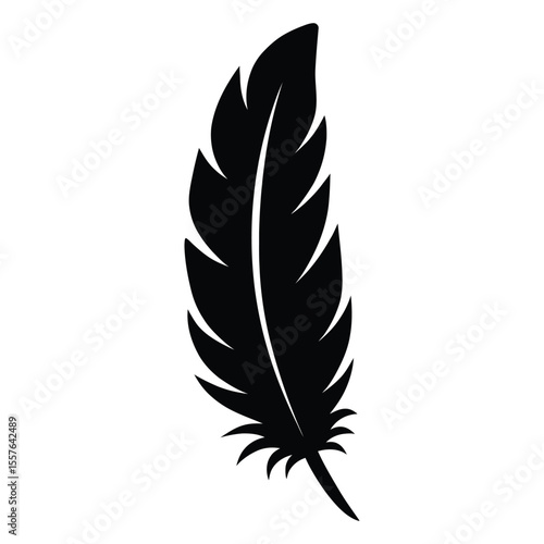  Simple black silhouette of a single bird feather with a detailed quill and barbs on a white background