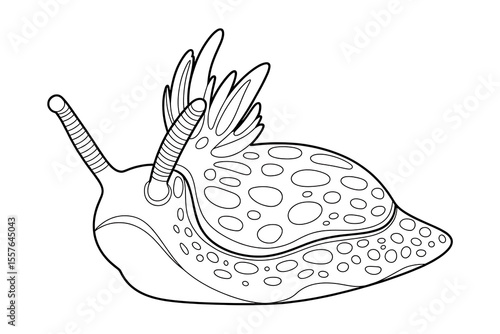 Sea slug with patterned shell and wing-like appendages.
