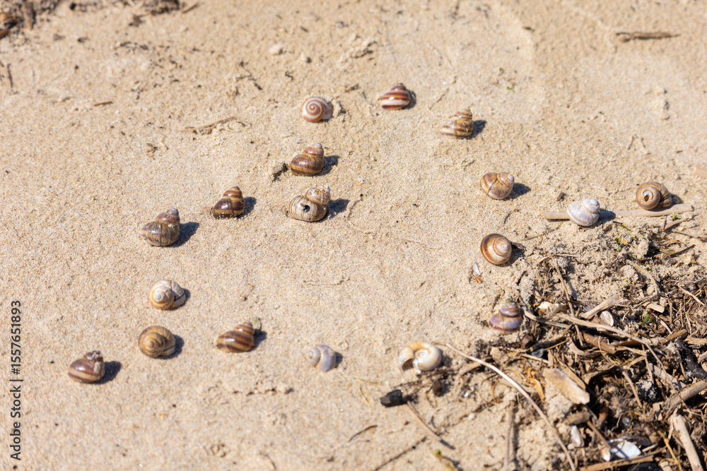 Obraz premium Texture of sand and earth, sand dunes and mountains