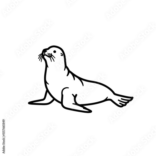 Outlined seal looking up in a simple illustration silhouette