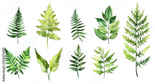 Handcrafted Fern Leaf Artwork: Vibrant Green Botanical Illustrations for Nature Enthusiasts