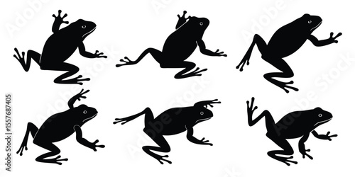 Silhouette Frogs in Various Poses Black and White Illustration