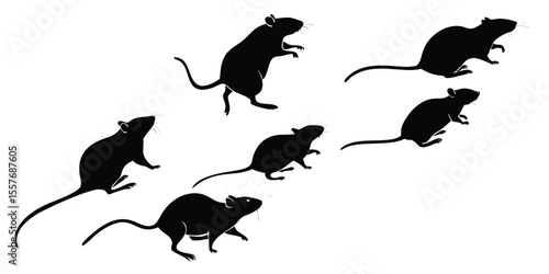 Silhouette of Seven Rats Running on White Background