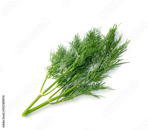 Fresh green dill branches isolated on white, top view.