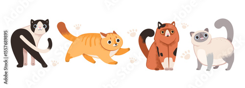 Cute playful cats set. Various felines isolated on white background. Flat vector illustration.