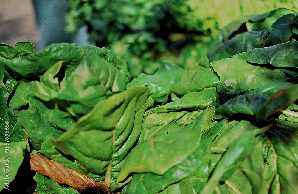 Obraz premium Organic green vegetables and greens: broccoli, lettuce