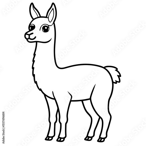 vicuna---llama-like-body---big-eyes---short-tail.