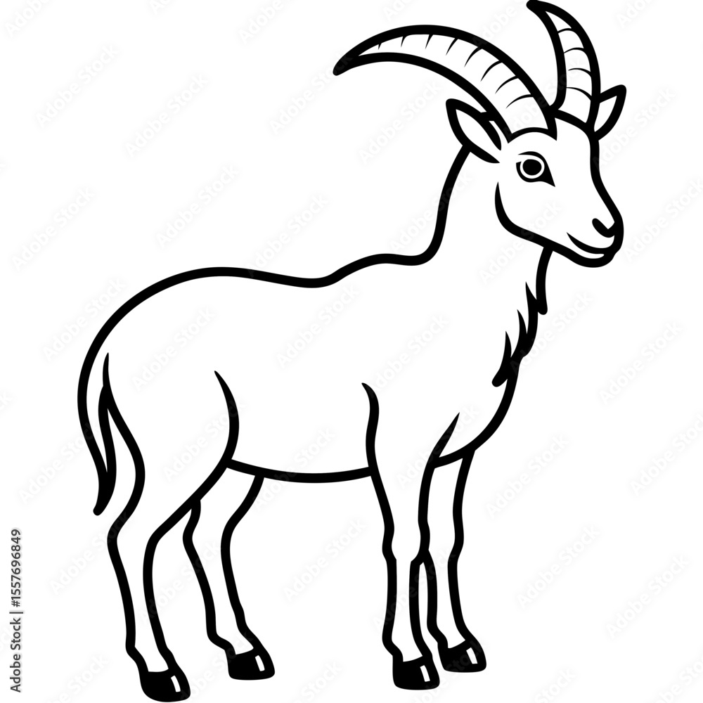 Fototapeta premium ibex---mountain-goat---curved-horns---hooves