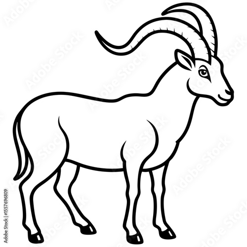 ibex---mountain-goat---curved-horns---hooves
