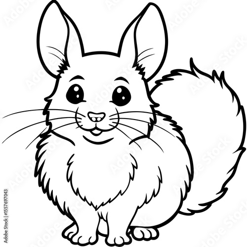  chinchilla---fluffy-shape---round-ears---cute-nose